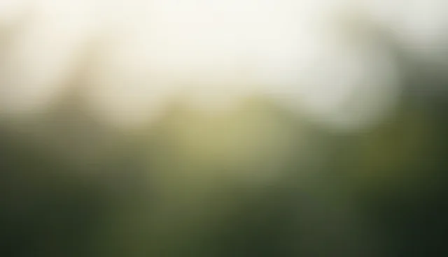 直播带货运营服务选型关注点对比分析